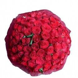 101 crvena ruža u buketu - Oborite je s'nogu