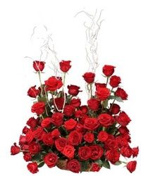 101 ruža u korpi - crveno na radost