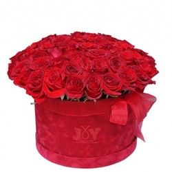 101 ruža u kutiji - Slavite ljubav !