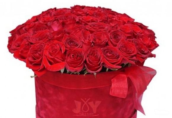 101 ruža u kutiji - Slavite ljubav !