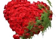 101 ruža u obliku srca - zaprosite je na najlepši način