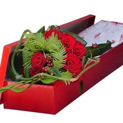 Ruže u kutiji - Crvene ruže u kutiji