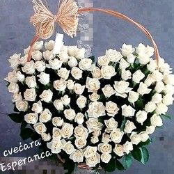Cvetni aranžman 101 bela ruža u obliku srca u korpi