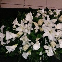 Venci i suze za sahrane