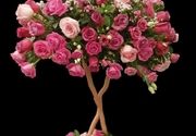 Buket ruža - 101 ruža u ružičastoj boji