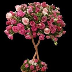 Buket ruža - 101 ruža u ružičastoj boji