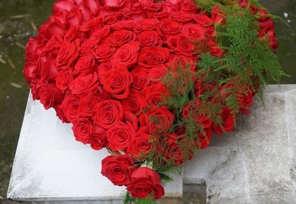 Dan zaljubljenih – 14.februar – 101.crvena ruža u obliku srca