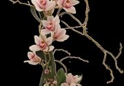 Dan zaljubljenih – 14.februar – Cvetni aranžman sa orhidejama