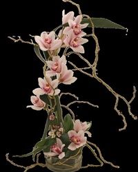 Dan zaljubljenih – 14.februar – Cvetni aranžman sa orhidejama