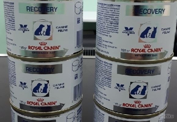Veterinarska dijeta/  Royal Canin recovery 195g