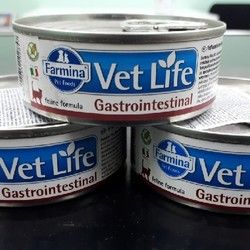 Veterinarska dijeta /  Vet Life gastrointestinal