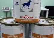 Veterinarska dijeta- Royal Canin Low Fat