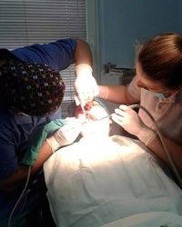 Zubni implanti Kragujevac - Stomatoloska ordinacija US Dental Kragujevac