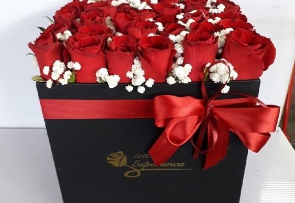 Box of flowers / Ruže u kutiji