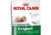 Hrana za pse Royal Exigent 800g