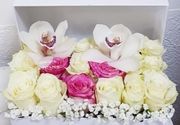 Ruze u kutiji /Box of flowers