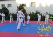 Besplatna letnja karate škola u Kraguejvcu