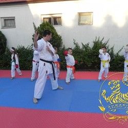 Besplatna letnja karate škola u Kraguejvcu