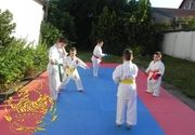 Besplatna letnja škola karatea!