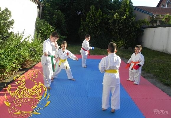 Besplatna letnja škola karatea!