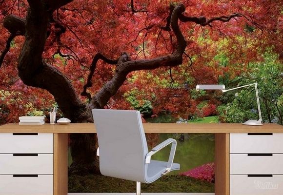 Nature Japanese Maple Tree Japanski Javor Drvo jezero 3D fototapeta zidni mural foto tapeta