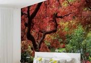 Nature Japanese Maple Tree Japanski Javor Drvo jezero 3D fototapeta zidni mural foto tapeta