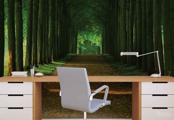 3D Path Trees Forest Šuma Drvored fototapeta zidni mural foto tapeta