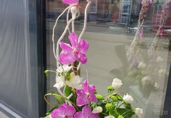 Cvetni aranžman sa ciklama vandom,frezijom i lizijantusom