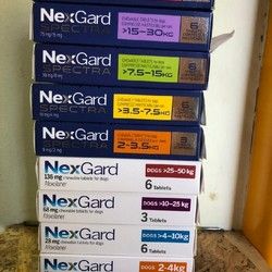 NexGard  Spectra- preparat protiv buva,krpelja,srcanog-crva i endoparazita - Više vrsta