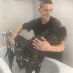 Povoljno kupanje pasa Groomyvet