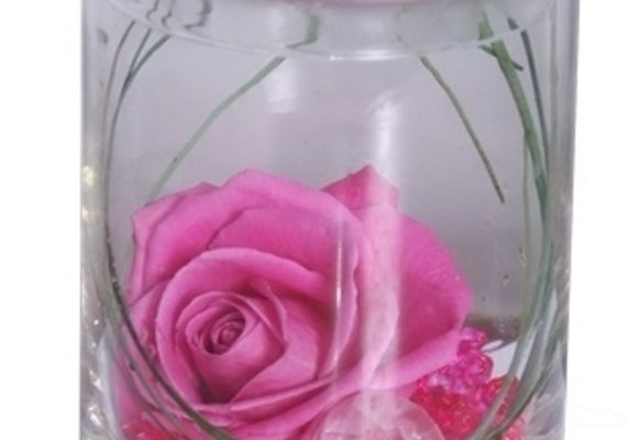 Ruže - Ruža u staklenoj posudi