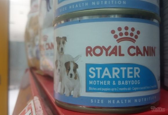 Hrana za štence / Starter royala canin