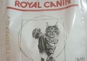 Hrana za mace / Urinary s/o royal canin
