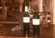 Vinsko vece Organskog vina Imperator u Kovaču