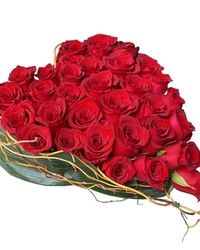 Crvene ruže - Srce od crvenih ruža