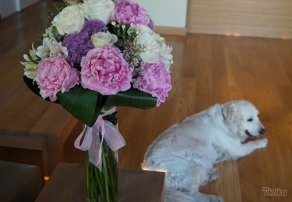 Cveće poklon - Buket u vazi, najlepši poklon za rođendan