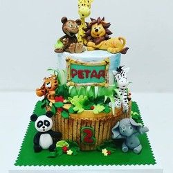 Dzungla torta za deciji rodjendan