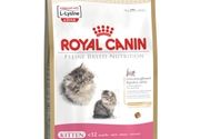Hrana za mačke - Royal Canin persian - Pet shop Zvrk