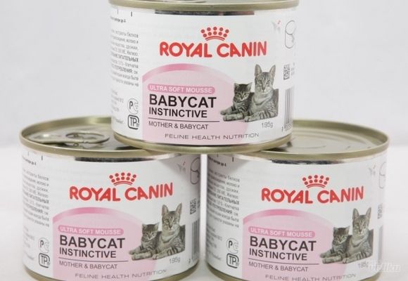 Hrana za mačke - Baby Cat Instinctive - Pet shop Zoo Lane