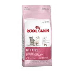 Hrana za mačke - Kitten 36 - Pet Shop Lunja