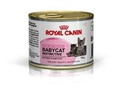 Hrana za mačke - Royal Canin - baby cat - Pet shop Maxvit