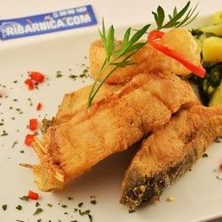 Pečenje ribe - šaran kotlet - Ribarnica.com