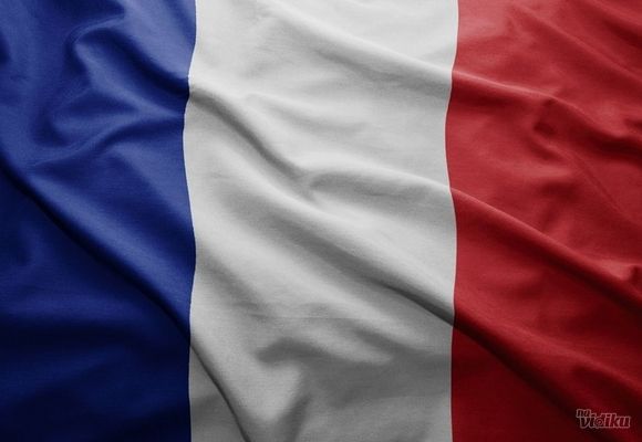 Francuski jezik - priprema za polaganje DALF i DELF ispita - Lingua Viva škola stranih jezika