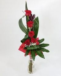 Buket cveća - 5 crvenih ruža - Cvećara Flowers Silver Pack