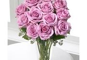 Buket cveća - buket od 13 roze ruža - Cvećara Quince Flower