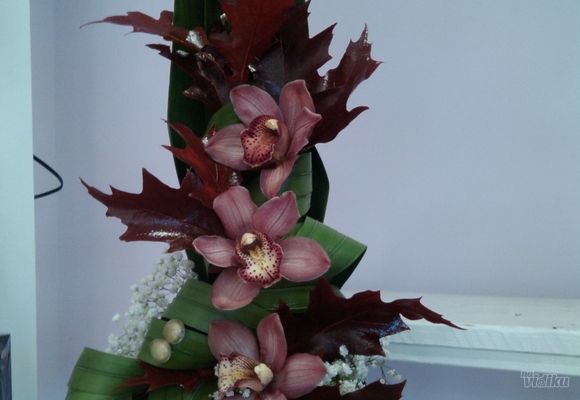 buket-cveca---3-orhideje---cvecara-alpinija.jpg