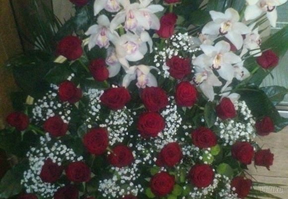 Buket cveća - crvene ruže - Cvet Express