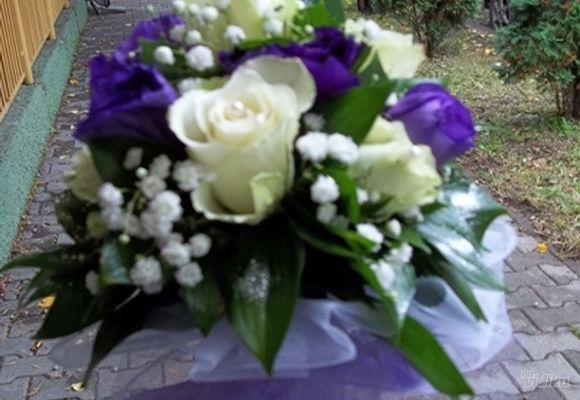 Buket ruža - bele ruže - Gift šop i cvećara Neven