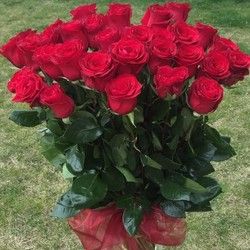Ruže - buket 29 crvenih ruža - Cvećara Quince Flower