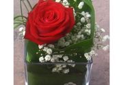 Ruže - cvetni aranžman jedna crvena ruža u staklu - Cvećara Quince Flower